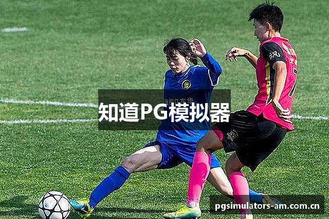 知道PG模拟器